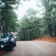 How to Create the Ultimate Road Trip, Seaford, NY